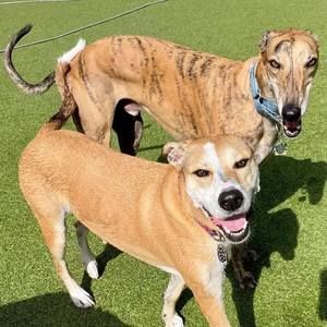 Meet your Posher, Jay